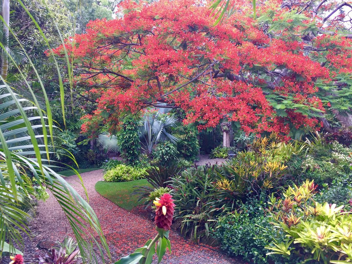 Eden Rest Bed and Breakfast Cooroy Exterior foto